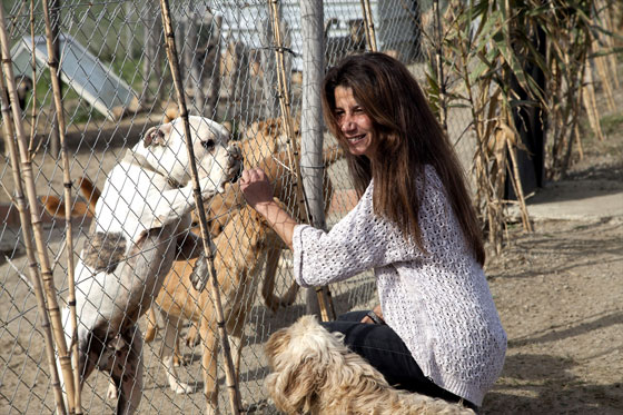 فضلت العيش مع الحيوانات.. سليمة المغربية تهدي الحيوانات الضالة مأوى صورة رقم 8