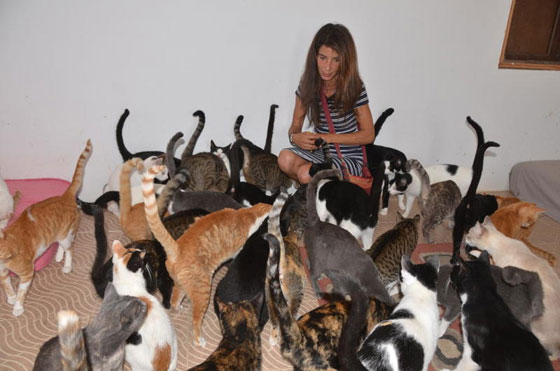 فضلت العيش مع الحيوانات.. سليمة المغربية تهدي الحيوانات الضالة مأوى صورة رقم 7