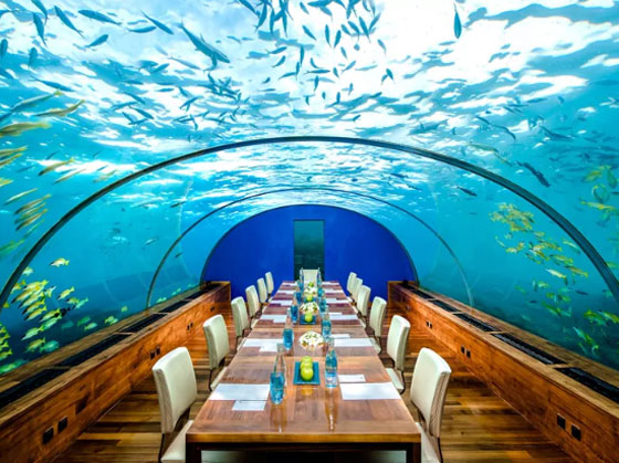 أول مطعم تحت الماء قريباً في أوروبا صورة رقم 6