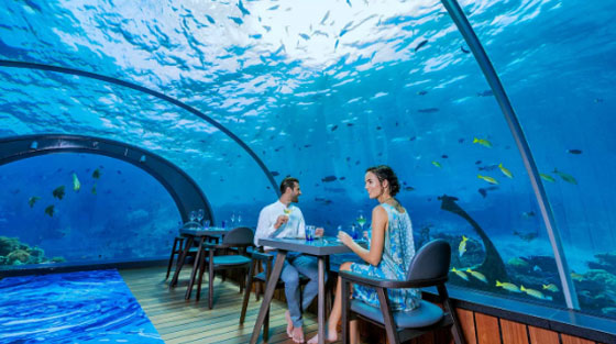 أول مطعم تحت الماء قريباً في أوروبا صورة رقم 7