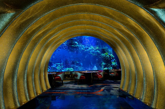 أول مطعم تحت الماء قريباً في أوروبا صورة رقم 9