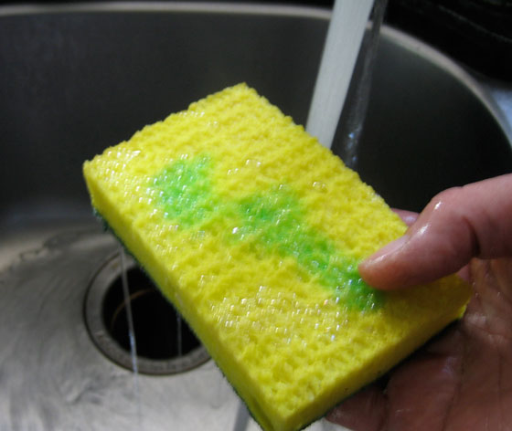 احذروا.. إسفنجة غسل الصحون تحتوي على بكتيريا أكثر مما على المرحاض! صورة رقم 7