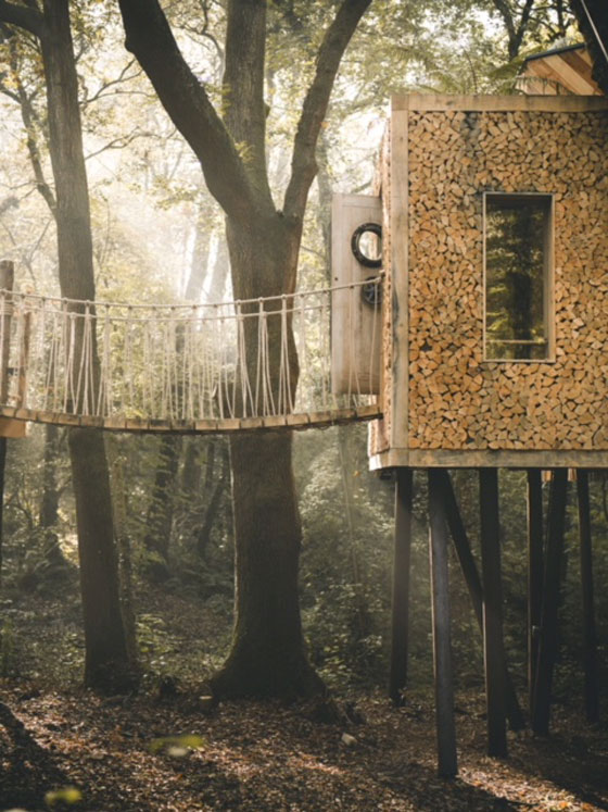 صور منزل خشبي غير عادي من أفخم العقارات في بريطانيا صورة رقم 3