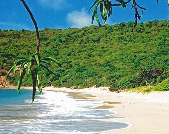 جزيرة في الكاريبي للبيع دون نقود صورة رقم 3