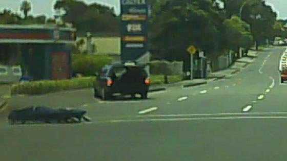 بالفيديو.. جثة تسقط من سيارة في مفترق طرق صورة رقم 3