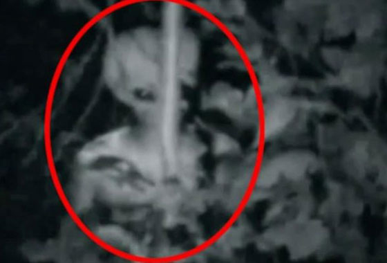  فيديو وصور: شاب مصري يؤكد أن مخلوقات فضائية اختطفته! هل تصدقه؟ صورة رقم 1