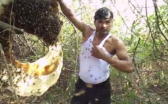 فيديو غريب.. هندي متهور يضع مئات من النحل تحت ملابسه  صورة رقم 1