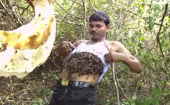 فيديو غريب.. هندي متهور يضع مئات من النحل تحت ملابسه  صورة رقم 2