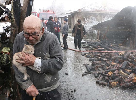  فيديو مؤثر: رجل مسن يبكي منزله المحترق ويحضن قطته التي نجت! صورة رقم 1