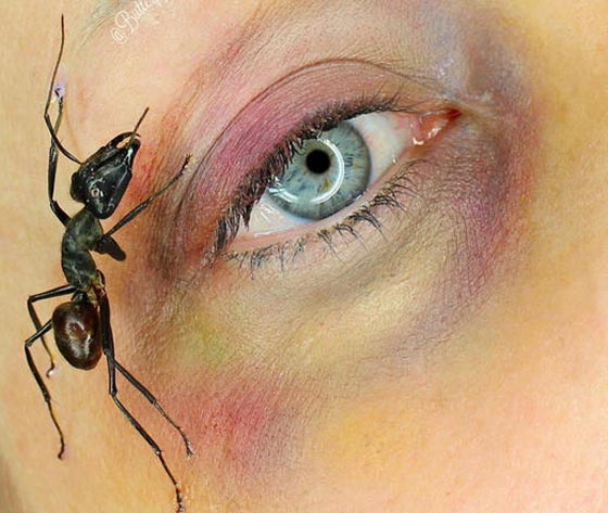 بالفيديو والصور..  خبيرة مكياج تستخدم كل أنواع الحشرات في أعمالها! صورة رقم 6