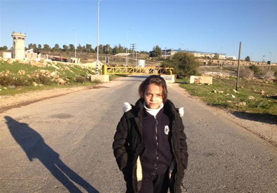 في تقرير سري: جنى الطفلة الفلسطينية الخطر القادم على اسرائيل صورة رقم 4