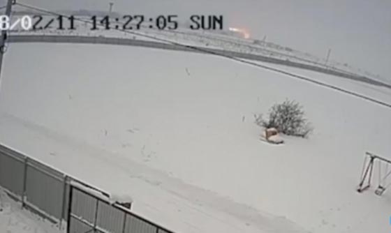 لقطات فيديو تظهر تحطم الطائرة الروسية وتحولها لكرة نار صورة رقم 1
