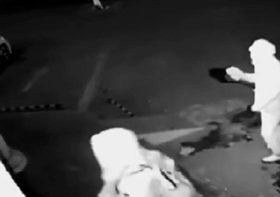 بالفيديو.. لص غبي يتسبب بإصابة زميله أثناء محاولة سرقة صورة رقم 2
