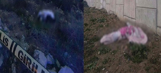 العثور على جثة سورية مخنوقة وزوجها اللبناني على قارعة الطريق في تركيا صورة رقم 2