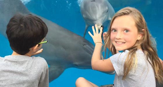 كيف استطاعت طفلة جذب الدلافين؟  صورة رقم 1