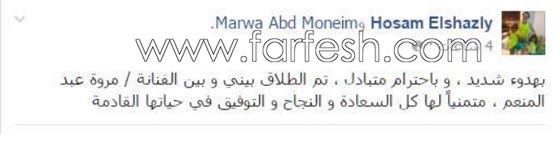  فنانات عربيات أعلن انفصالهن عن أزواجهن على فيس بوك صورة رقم 5