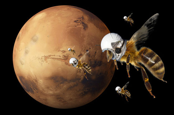 نحل روبوتي مستكشف يستعد لغزو المريخ صورة رقم 2