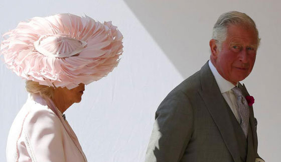  شاهدوا أجمل قبعات المشاهير خلال حفل الزفاف الملكي صورة رقم 4