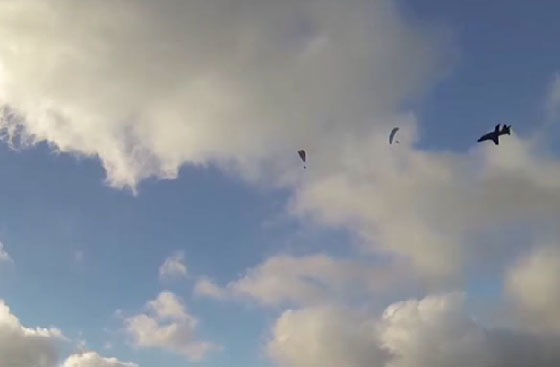 فيديو مرعب.. طائرة حربية تمر بالقرب من مظليين  صورة رقم 1