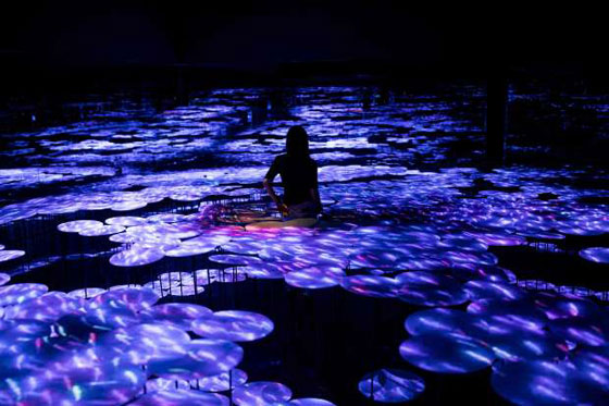بالفيديو والصور..  متحف رقمي مدهش في اليابان يمزج الواقع بالخيال صورة رقم 3