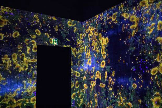 بالفيديو والصور..  متحف رقمي مدهش في اليابان يمزج الواقع بالخيال صورة رقم 5