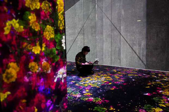 بالفيديو والصور..  متحف رقمي مدهش في اليابان يمزج الواقع بالخيال صورة رقم 13
