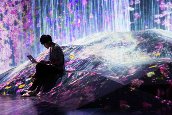 بالفيديو والصور..  متحف رقمي مدهش في اليابان يمزج الواقع بالخيال صورة رقم 15