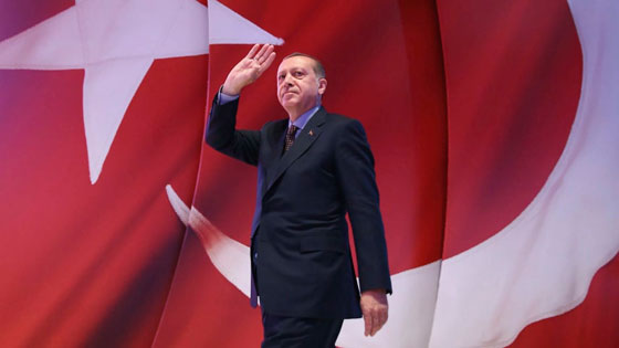 بالفيديو والصور: الأتراك يحتفلون بفوز رجب طيب أردوغان في الانتخابات الرئاسية صورة رقم 8