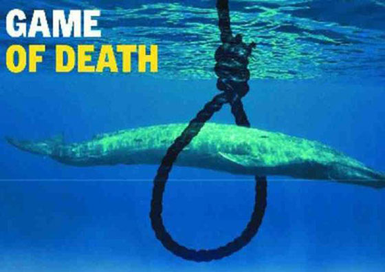  انتحار طفلتين في السعودية ولبنان بسبب العاب الموت: الحوت الأزرق ومريم!! صورة رقم 5