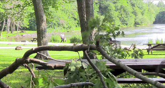 فيديو طريف.. سقوط فرع شجرة ثقيل فوق عروسين في حفل زفافهما صورة رقم 3