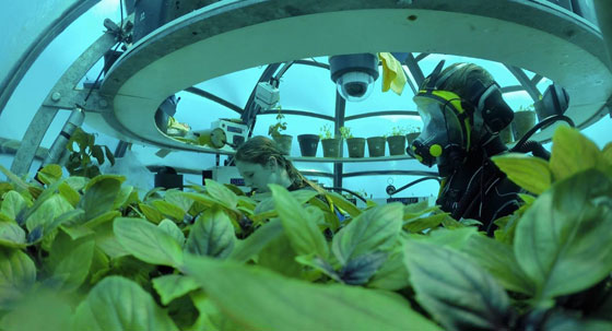 فيديو وصور.. حديقة لإنتاج الخضروات تحت الماء صورة رقم 10