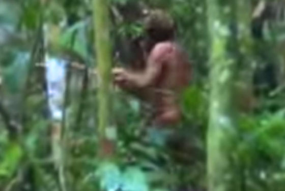 بالفيديو والصور: اكتشاف  طرزان حقيقي يعيش بأدغال البرازيل صورة رقم 3