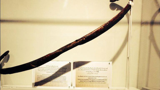 صور إرم سعد.. أول سلاح استخدمه المسلمون، تعرفوا عليه! صورة رقم 4