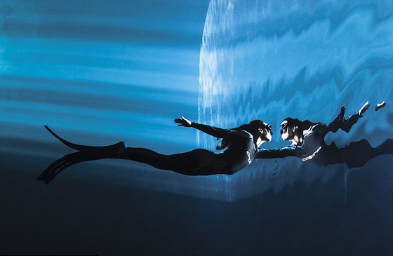 أشهر وأجمل الصور الفائزة بمسابقة التصوير تحت سطح الماء صورة رقم 11