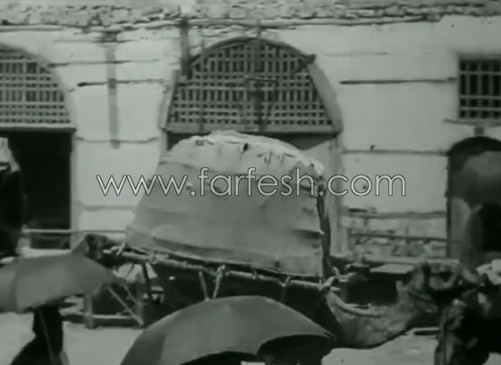  إحدى قوافل الحج في فيديو نادر قبل 90 عامًا صورة رقم 9