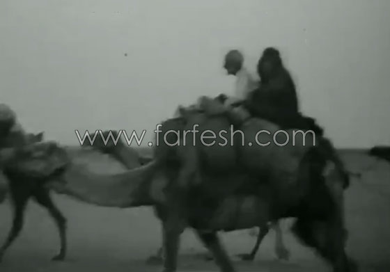  إحدى قوافل الحج في فيديو نادر قبل 90 عامًا صورة رقم 11