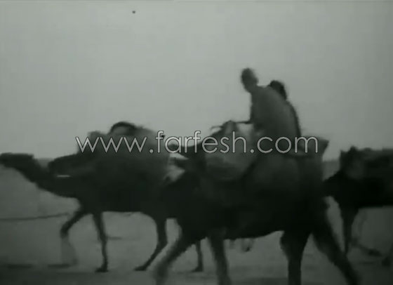  إحدى قوافل الحج في فيديو نادر قبل 90 عامًا صورة رقم 12