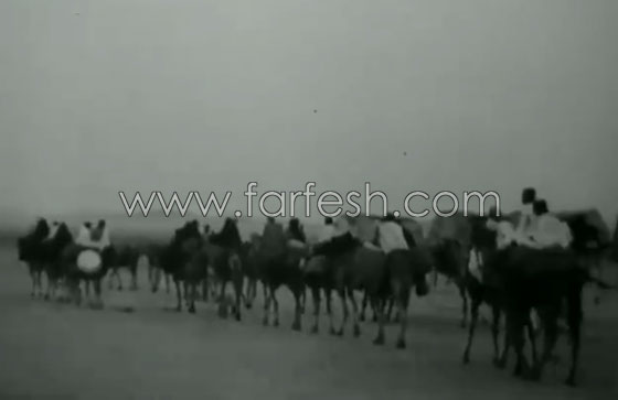  إحدى قوافل الحج في فيديو نادر قبل 90 عامًا صورة رقم 13