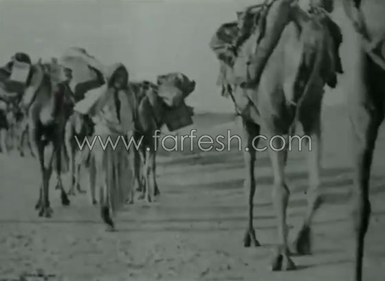  إحدى قوافل الحج في فيديو نادر قبل 90 عامًا صورة رقم 14
