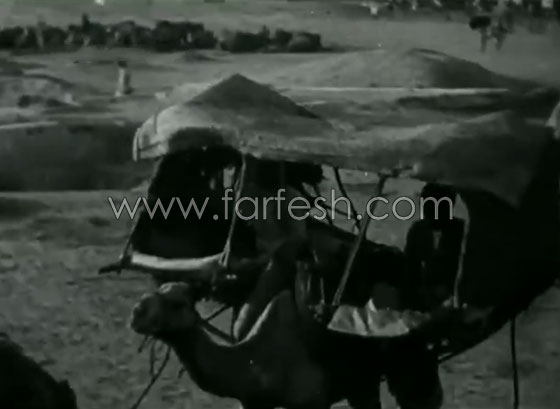  إحدى قوافل الحج في فيديو نادر قبل 90 عامًا صورة رقم 15