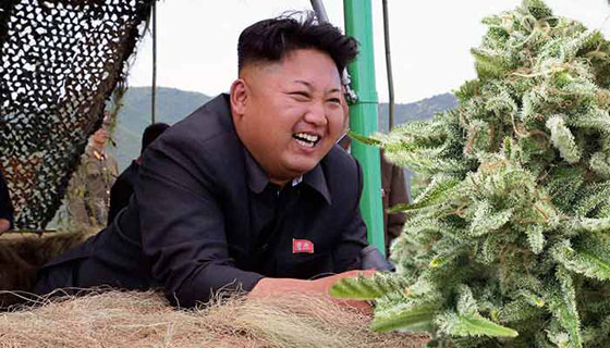 حقائق صادمة ومثيرة لا تعرفها عن كوريا الشمالية صورة رقم 7