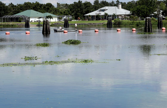 بالصور.. فلوريدا تعلن حالة الطوارئ بسبب انتشار الطحالب السامة صورة رقم 6