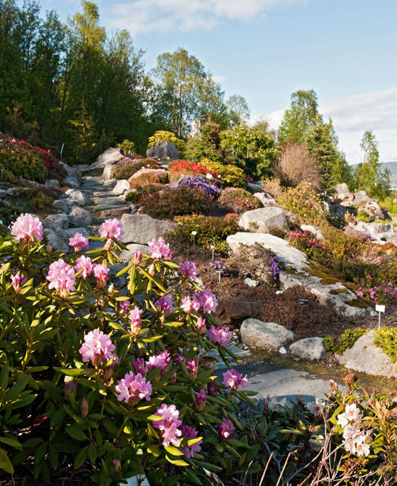 بالصور.. أجمل 8 حدائق نباتية ساحرة في العالم صورة رقم 3