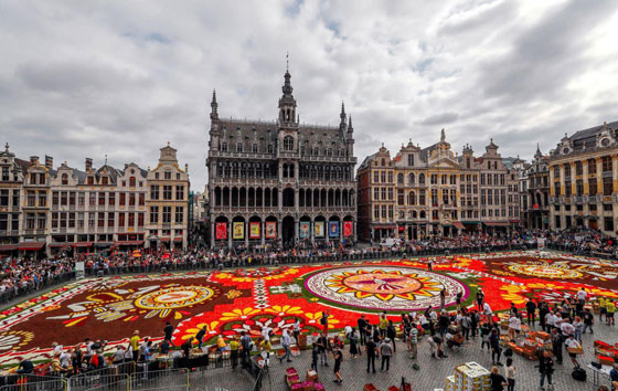 بالفيديو والصور.. سجادة زهور ضخمة تأسر الأنظار في بروكسل صورة رقم 2
