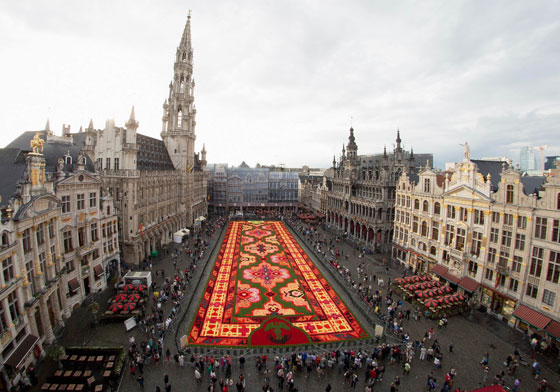 بالفيديو والصور.. سجادة زهور ضخمة تأسر الأنظار في بروكسل صورة رقم 3