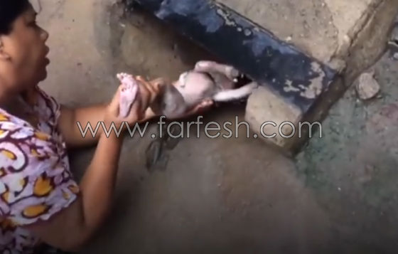 امرأة هندية تنقذ طفلاً حديث الولادة من الصرف الصحي.. فيديو صادم صورة رقم 2