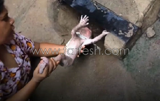 امرأة هندية تنقذ طفلاً حديث الولادة من الصرف الصحي.. فيديو صادم صورة رقم 3