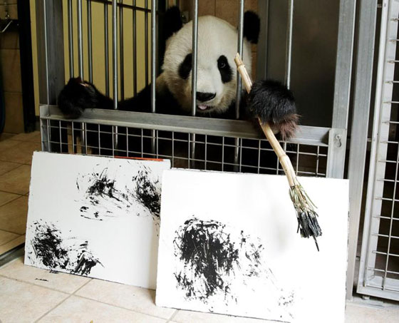 بالصور.. الباندا الرسامة تجذب زوار حديقة حيوان فيينا برسوماتها صورة رقم 1