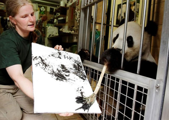 بالصور.. الباندا الرسامة تجذب زوار حديقة حيوان فيينا برسوماتها صورة رقم 2