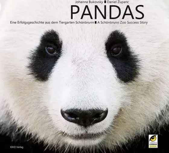 بالصور.. الباندا الرسامة تجذب زوار حديقة حيوان فيينا برسوماتها صورة رقم 7